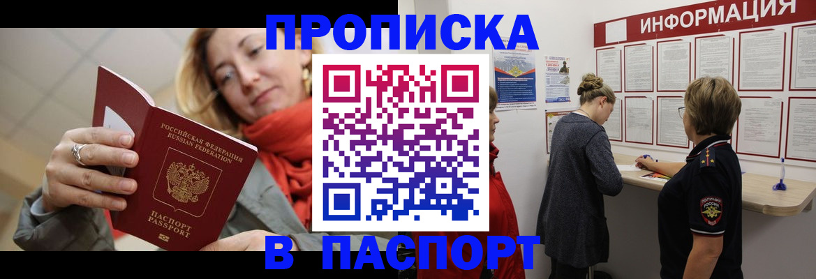 прописка поиск в Камышине